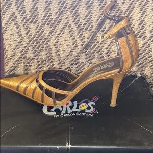 Carlos Santana heel